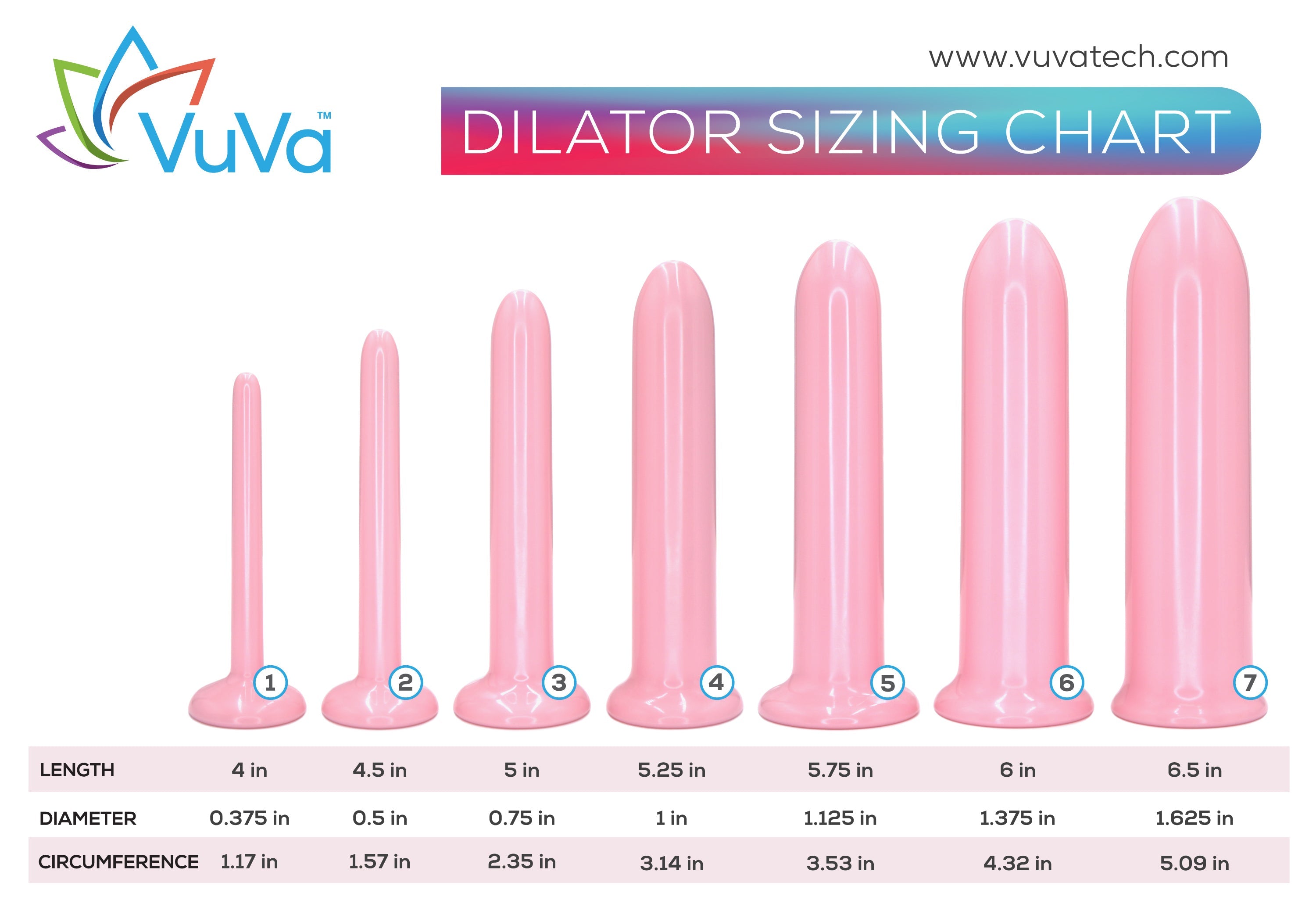 Vaginal Dilator Size Charts