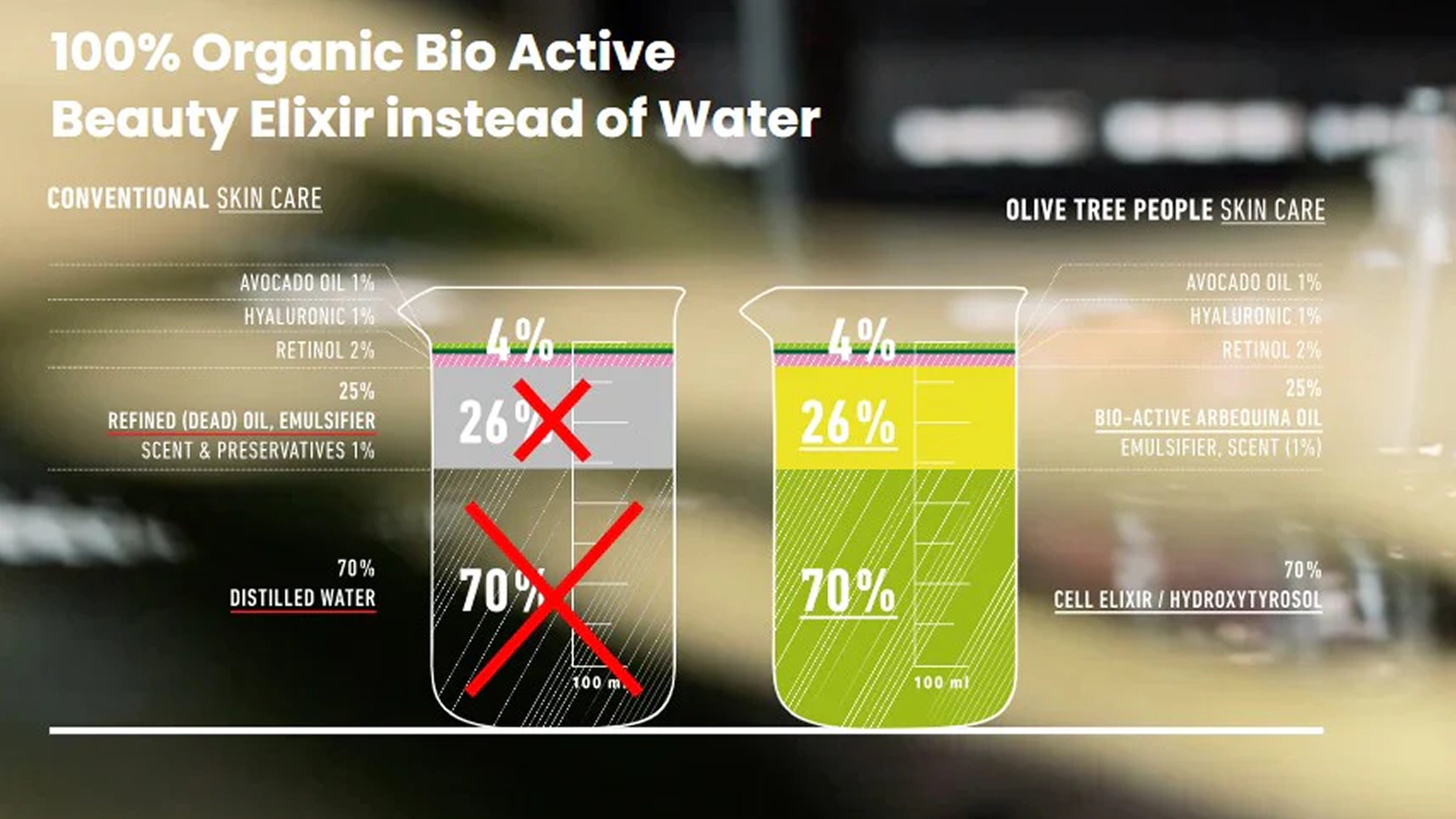 Olive tree people web